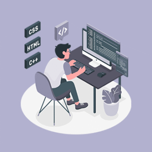 Web Development